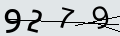 verifycode